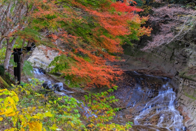 紅葉の季節の養老渓谷