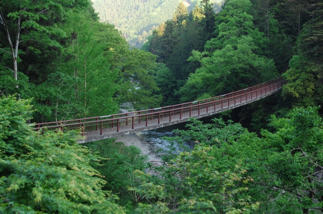 新緑の秋川渓谷