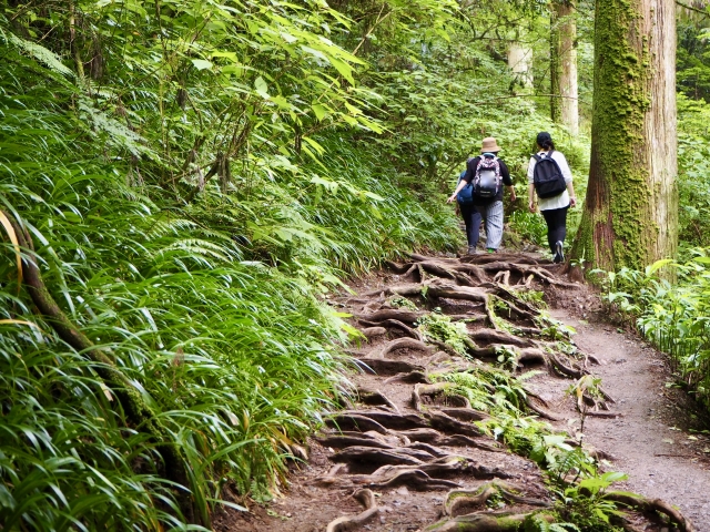 高尾山の登山道