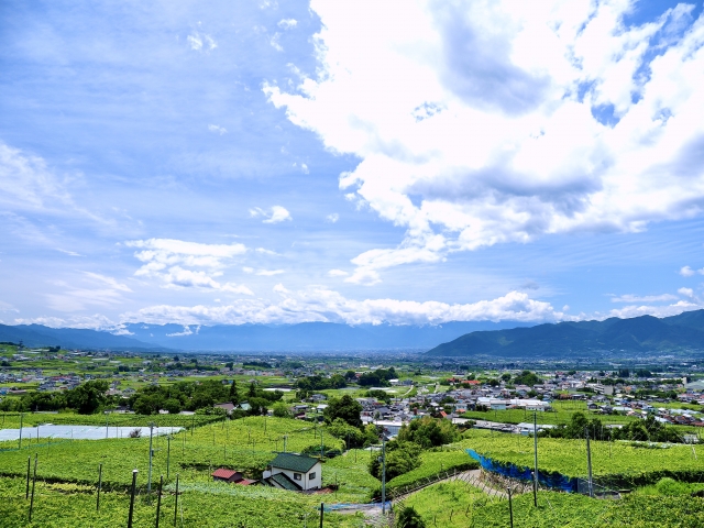 勝沼ぶどう郷の風景