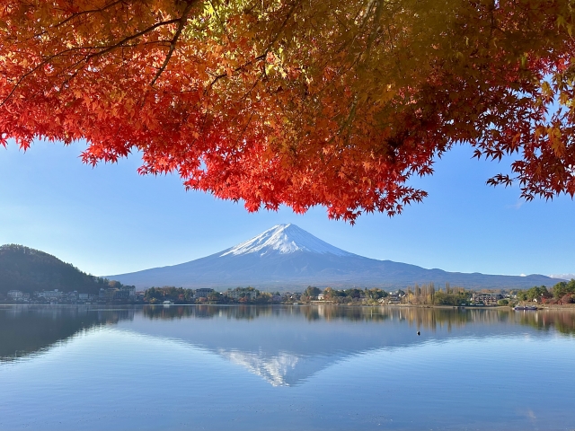 河口湖から望む富士山と紅葉