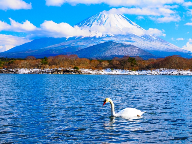 山中湖から望む富士山