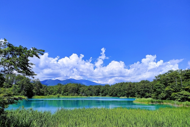 夏の五色沼