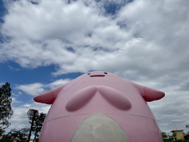 開成山公園のポケモン