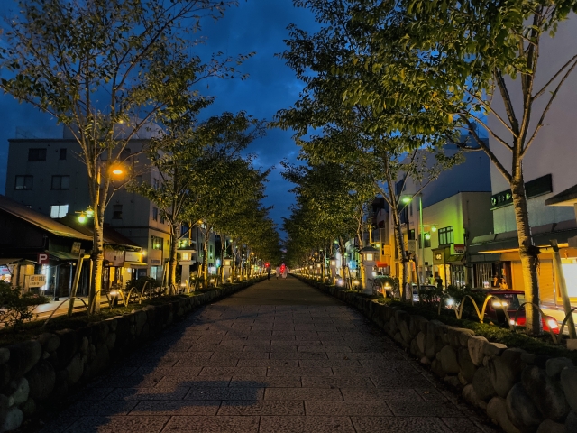 夜の鎌倉、段葛