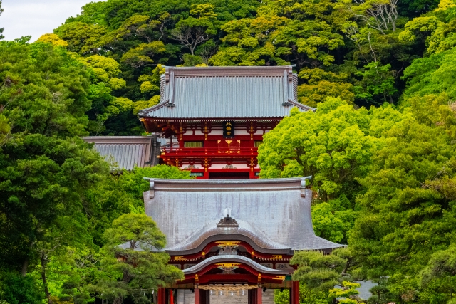 鶴岡八幡宮