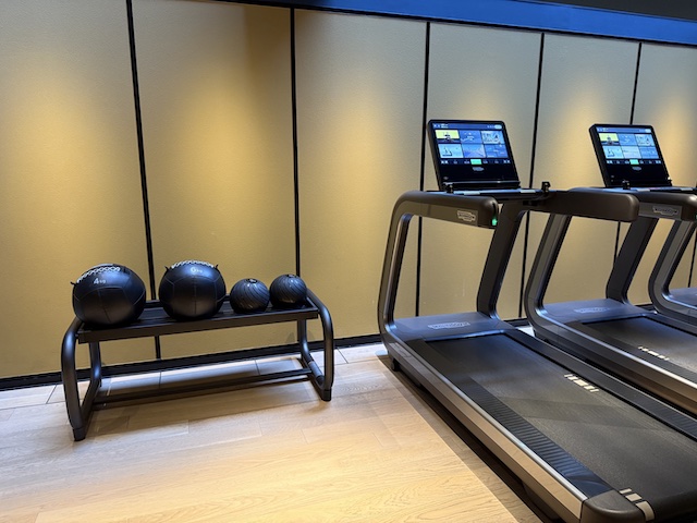 HOTEL THE MITSUI KYOTOのメディシンボール